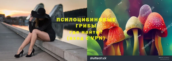 прущая мука Сатка