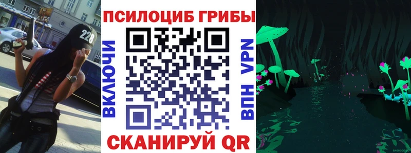 Галлюциногенные грибы Psilocybine cubensis  omg   Усть-Катав 